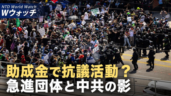 米移民政策への抗議デモの背後に中共の影/中国車企業の価格戦争が激化 手抜きと品質問題が表面化 など｜NTD ワールドウォッチ（2025年06月11日）